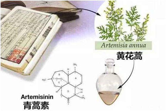 江南官网,江南（中国）：向中医药看齐，与世界共享中医药文化(图1)