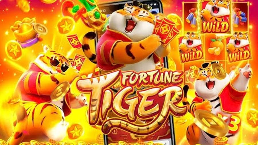 jogo de panela inducao