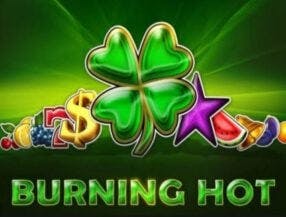 api bet slot