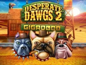 esporte de parede